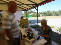 https://mezobereny.hu/galeriak/20260808-IV-Amator-Muvesztelep/thumb/p1250354-857623.jpg