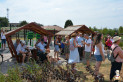 https://mezobereny.hu/galeriak/20260821-Baratsag-park-atado/thumb/ops_4543_oh-201978.jpg