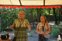 https://mezobereny.hu/galeriak/20260821-Varosnezes-Dotto-vonattal/thumb/ops_4444_oh-086713.jpg