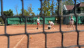 https://mezobereny.hu/galeriak/20260822-Berenyi-Sportnapok/thumb/5-719028.jpg